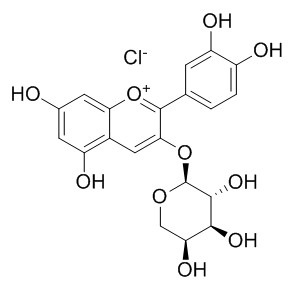 氯化矢車菊素-3-O-阿拉伯糖苷