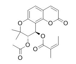 白花前胡香豆精I(xiàn)I
