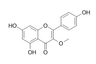 異山柰素