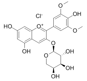 氯化錦葵色素-3-O-阿拉伯糖苷