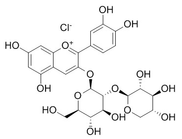 氯化失車菊素-3-O-桑布雙糖苷