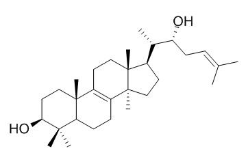 樺褐孔菌醇