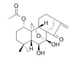 疏展香茶菜寧B