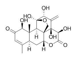 寬纓酮
