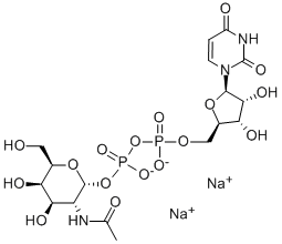 尿嘧啶核苷-5′-二磷酸-N-乙酰氨基半乳糖二钠盐