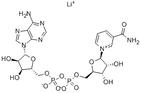 Β-菸鹼醯胺腺嘌呤二核苷酸