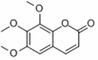 白蜡树素