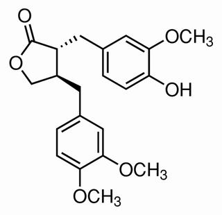牛蒡苷元