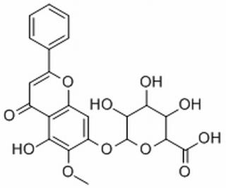 千层纸素A-7-0-β-D-葡萄糖醛酸苷
