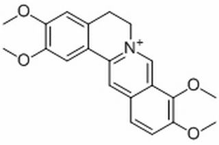 掌叶防已碱
