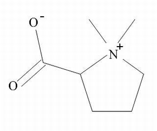 盐酸水苏碱