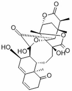 酸浆苦味素L