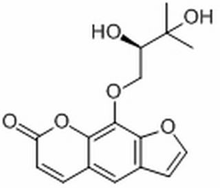 白芷属脑