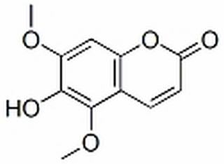 白蜡树精 