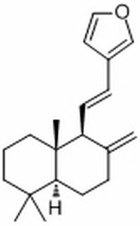 二羟丙茶碱E