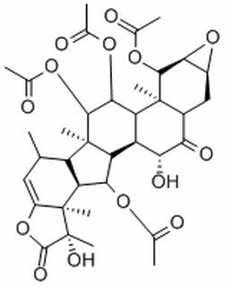 根薯酮内酯A
