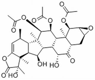 根薯酮内酯B