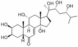 漏芦甾酮