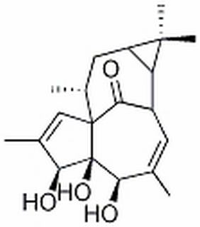 20-去氧巨大戟萜醇