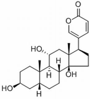 日蟾蜍他灵