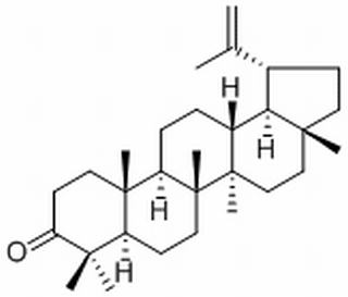 羽扇烯酮