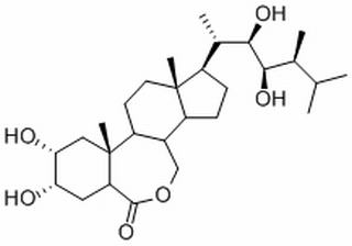 芸苔素内酯 CAS：72962-43-7 中药对照品标准品