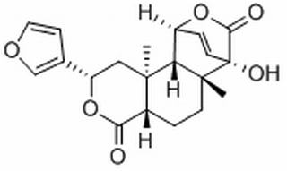 异古伦宾