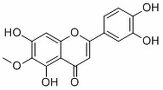 泽兰黄酮