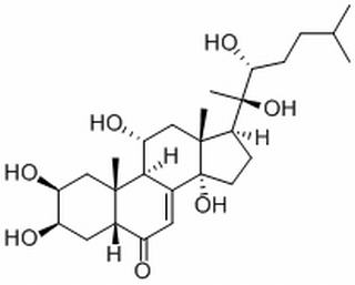 筋骨草甾酮C