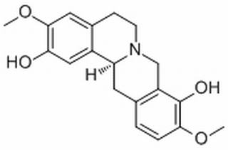 金黄紫堇碱