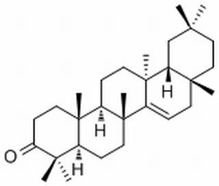 蒲公英赛酮