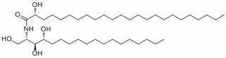 2-(2'-Hydroxytetracosanoylamino)