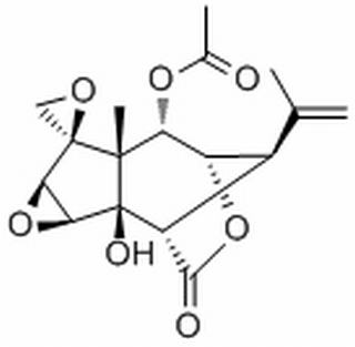 2-邻乙酰基羟基马桑毒素