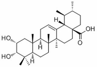3-Epicorosolic acid