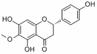 6-甲氧基柚皮素