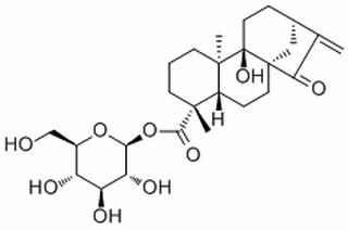 beta-D-吡喃葡萄糖等效-9-羟基-15-氧代-16-贝壳杉烯-19-酸酯