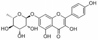 Kaempferol 7-O-rhamnoside