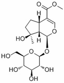玉叶金花甙酸甲酯