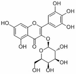 楊梅素-3-O-半乳糖苷