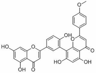 罗汉松黄酮 A.