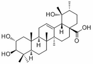 委陵菜酸,2Α,19Α-二羟基熊果酸
