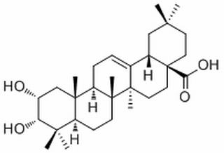 2,3-二羟基-12-齐墩果烯-28-酸