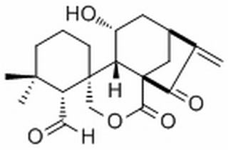 毛果香茶菜醛 A