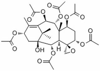 1-Hydroxybaccatin I