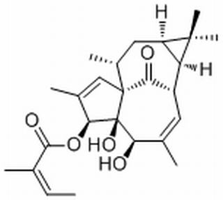 20-Deoxyingenol 3-angelate