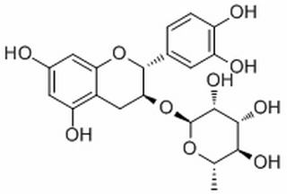 3-鼠李糖苷儿茶酚