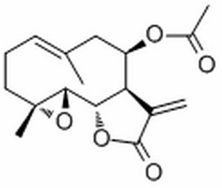 鹅掌揪内酯