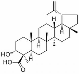 Lupeolic acid