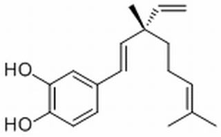 3-Hydroxybakuchiol