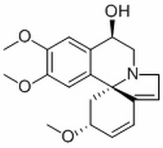 刺桐阿亭